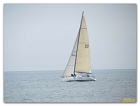 Regata_07.2017 (23)